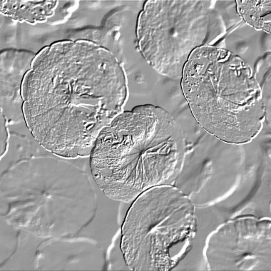 Seramik duvarın ve yerdeki fayansların dokusu. İç dekorasyon. 3 boyutlu grafikler için kusursuz doku haritası. Duvar kağıdı, tekstil, web sayfası arkaplanı.
