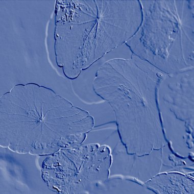 Seramik duvarın ve yerdeki fayansların dokusu. İç dekorasyon. 3 boyutlu grafikler için kusursuz doku haritası. Duvar kağıdı, tekstil, web sayfası arkaplanı.