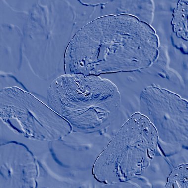 Seramik duvarın ve yerdeki fayansların dokusu. İç dekorasyon. 3 boyutlu grafikler için kusursuz doku haritası. Duvar kağıdı, tekstil, web sayfası arkaplanı.