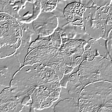 Seramik duvarın ve yerdeki fayansların dokusu. İç dekorasyon. 3 boyutlu grafikler için kusursuz doku haritası. Duvar kağıdı, tekstil, web sayfası arkaplanı.