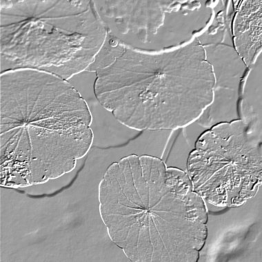 Seramik duvarın ve yerdeki fayansların dokusu. İç dekorasyon. 3 boyutlu grafikler için kusursuz doku haritası. Duvar kağıdı, tekstil, web sayfası arkaplanı.