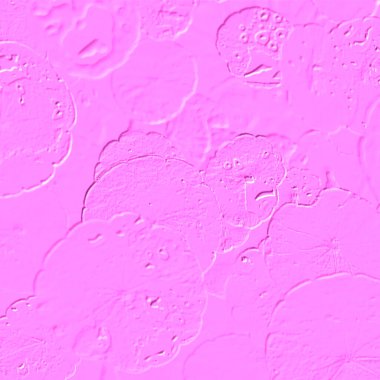 Seramik duvarın ve yerdeki fayansların dokusu. İç dekorasyon. 3 boyutlu grafikler için kusursuz doku haritası. Duvar kağıdı, tekstil, web sayfası arkaplanı.