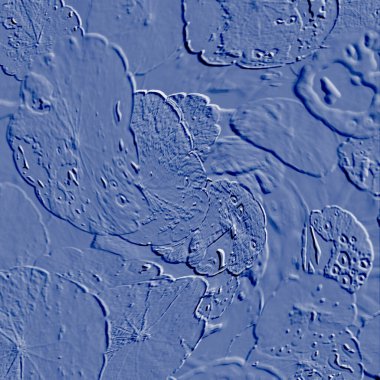 Seramik duvarın ve yerdeki fayansların dokusu. İç dekorasyon. 3 boyutlu grafikler için kusursuz doku haritası. Duvar kağıdı, tekstil, web sayfası arkaplanı.