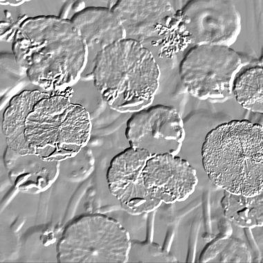 Seramik duvarın ve yerdeki fayansların dokusu. İç dekorasyon. 3 boyutlu grafikler için kusursuz doku haritası. Duvar kağıdı, tekstil, web sayfası arkaplanı.