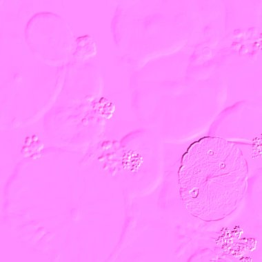 Seramik duvarın ve yerdeki fayansların dokusu. İç dekorasyon. 3 boyutlu grafikler için kusursuz doku haritası. Duvar kağıdı, tekstil, web sayfası arkaplanı.