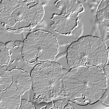 Seramik duvarın ve yerdeki fayansların dokusu. İç dekorasyon. 3 boyutlu grafikler için kusursuz doku haritası. Duvar kağıdı, tekstil, web sayfası arkaplanı.