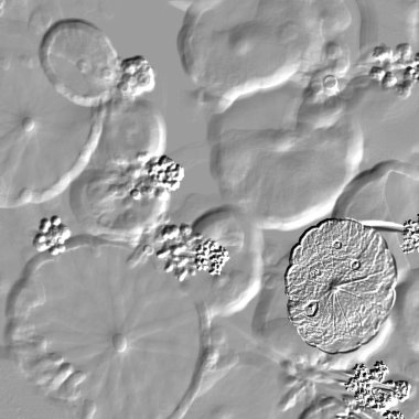 Seramik duvarın ve yerdeki fayansların dokusu. İç dekorasyon. 3 boyutlu grafikler için kusursuz doku haritası. Duvar kağıdı, tekstil, web sayfası arkaplanı.