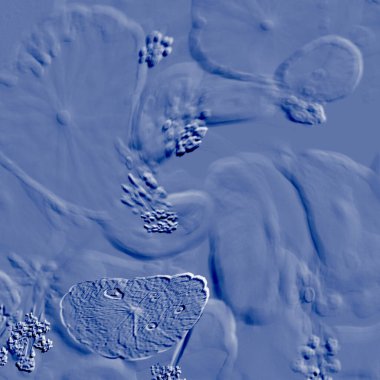 Seramik duvarın ve yerdeki fayansların dokusu. İç dekorasyon. 3 boyutlu grafikler için kusursuz doku haritası. Duvar kağıdı, tekstil, web sayfası arkaplanı.