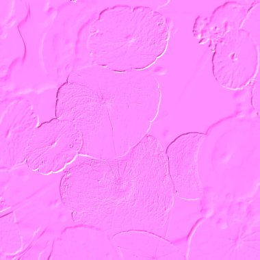 Seramik duvarın ve yerdeki fayansların dokusu. İç dekorasyon. 3 boyutlu grafikler için kusursuz doku haritası. Duvar kağıdı, tekstil, web sayfası arkaplanı.