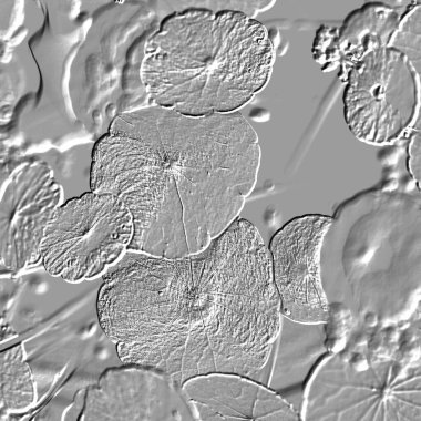 Seramik duvarın ve yerdeki fayansların dokusu. İç dekorasyon. 3 boyutlu grafikler için kusursuz doku haritası. Duvar kağıdı, tekstil, web sayfası arkaplanı.