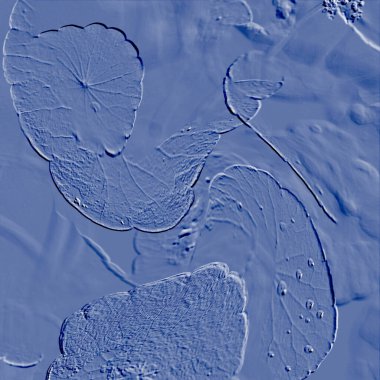 Seramik duvarın ve yerdeki fayansların dokusu. İç dekorasyon. 3 boyutlu grafikler için kusursuz doku haritası. Duvar kağıdı, tekstil, web sayfası arkaplanı.