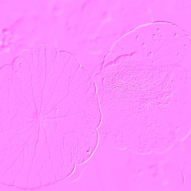 Seramik duvarın ve yerdeki fayansların dokusu. İç dekorasyon. 3 boyutlu grafikler için kusursuz doku haritası. Duvar kağıdı, tekstil, web sayfası arkaplanı.