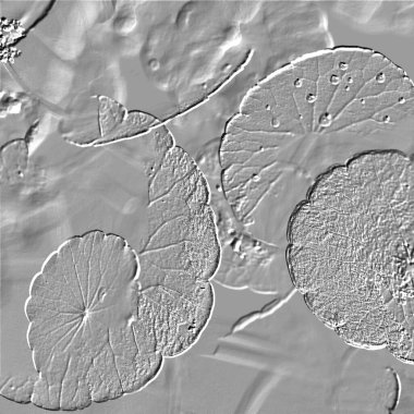 Seramik duvarın ve yerdeki fayansların dokusu. İç dekorasyon. 3 boyutlu grafikler için kusursuz doku haritası. Duvar kağıdı, tekstil, web sayfası arkaplanı.