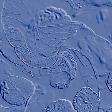 Seramik duvarın ve yerdeki fayansların dokusu. İç dekorasyon. 3 boyutlu grafikler için kusursuz doku haritası. Duvar kağıdı, tekstil, web sayfası arkaplanı.