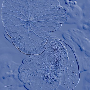 Seramik duvarın ve yerdeki fayansların dokusu. İç dekorasyon. 3 boyutlu grafikler için kusursuz doku haritası. Duvar kağıdı, tekstil, web sayfası arkaplanı.