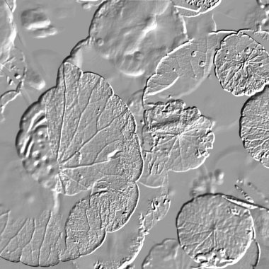 Seramik duvarın ve yerdeki fayansların dokusu. İç dekorasyon. 3 boyutlu grafikler için kusursuz doku haritası. Duvar kağıdı, tekstil, web sayfası arkaplanı.