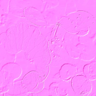 Seramik duvarın ve yerdeki fayansların dokusu. İç dekorasyon. 3 boyutlu grafikler için kusursuz doku haritası. Duvar kağıdı, tekstil, web sayfası arkaplanı.