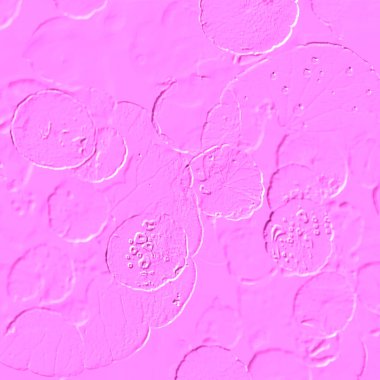 Seramik duvarın ve yerdeki fayansların dokusu. İç dekorasyon. 3 boyutlu grafikler için kusursuz doku haritası. Duvar kağıdı, tekstil, web sayfası arkaplanı.