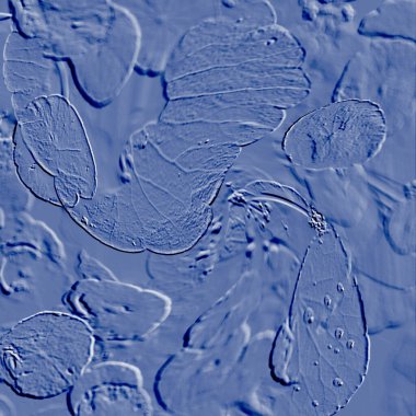 Seramik duvarın ve yerdeki fayansların dokusu. İç dekorasyon. 3 boyutlu grafikler için kusursuz doku haritası. Duvar kağıdı, tekstil, web sayfası arkaplanı.