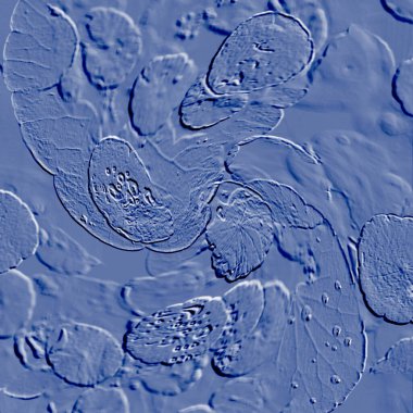 Seramik duvarın ve yerdeki fayansların dokusu. İç dekorasyon. 3 boyutlu grafikler için kusursuz doku haritası. Duvar kağıdı, tekstil, web sayfası arkaplanı.