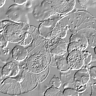 Seramik duvarın ve yerdeki fayansların dokusu. İç dekorasyon. 3 boyutlu grafikler için kusursuz doku haritası. Duvar kağıdı, tekstil, web sayfası arkaplanı.