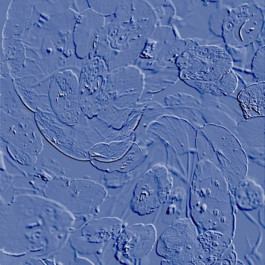 Seramik duvarın ve yerdeki fayansların dokusu. İç dekorasyon. 3 boyutlu grafikler için kusursuz doku haritası. Duvar kağıdı, tekstil, web sayfası arkaplanı.