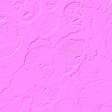 Seramik duvarın ve yerdeki fayansların dokusu. İç dekorasyon. 3 boyutlu grafikler için kusursuz doku haritası. Duvar kağıdı, tekstil, web sayfası arkaplanı.