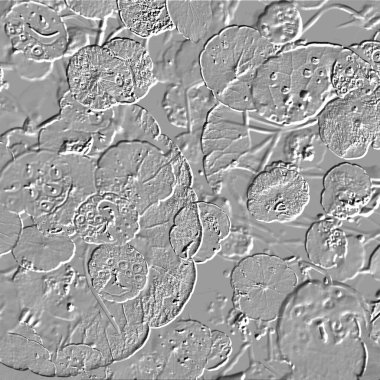 Seramik duvarın ve yerdeki fayansların dokusu. İç dekorasyon. 3 boyutlu grafikler için kusursuz doku haritası. Duvar kağıdı, tekstil, web sayfası arkaplanı.