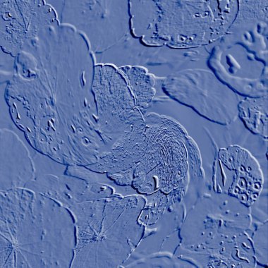 Seramik duvarın ve yerdeki fayansların dokusu. İç dekorasyon. 3 boyutlu grafikler için kusursuz doku haritası. Duvar kağıdı, tekstil, web sayfası arkaplanı.