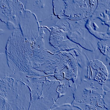 Seramik duvarın ve yerdeki fayansların dokusu. İç dekorasyon. 3 boyutlu grafikler için kusursuz doku haritası. Duvar kağıdı, tekstil, web sayfası arkaplanı.