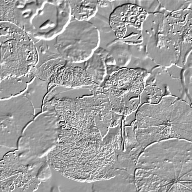 Seramik duvarın ve yerdeki fayansların dokusu. İç dekorasyon. 3 boyutlu grafikler için kusursuz doku haritası. Duvar kağıdı, tekstil, web sayfası arkaplanı.