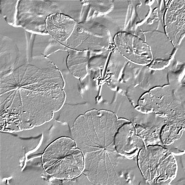 Seramik duvarın ve yerdeki fayansların dokusu. İç dekorasyon. 3 boyutlu grafikler için kusursuz doku haritası. Duvar kağıdı, tekstil, web sayfası arkaplanı.