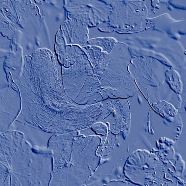 Seramik duvarın ve yerdeki fayansların dokusu. İç dekorasyon. 3 boyutlu grafikler için kusursuz doku haritası. Duvar kağıdı, tekstil, web sayfası arkaplanı.