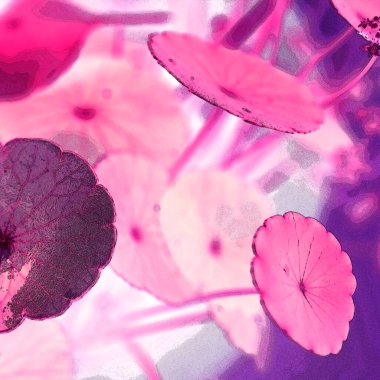 Nergisler. Yeşil bitkiler. Parlak doğal bir geçmişi, su bitkileri. Arkaplan veya duvar kağıdı için.