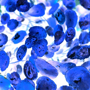 Nergisler. Yeşil bitkiler. Parlak doğal bir geçmişi, su bitkileri. Arkaplan veya duvar kağıdı için.