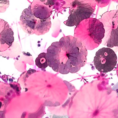 Nergisler. Yeşil bitkiler. Parlak doğal bir geçmişi, su bitkileri. Arkaplan veya duvar kağıdı için.