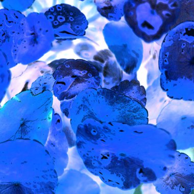 Nergisler. Yeşil bitkiler. Parlak doğal bir geçmişi, su bitkileri. Arkaplan veya duvar kağıdı için.