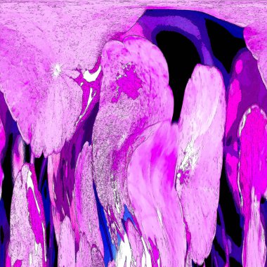 Nergisler. Yeşil bitkiler. Parlak doğal bir geçmişi, su bitkileri. Arkaplan veya duvar kağıdı için.