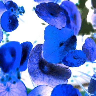 Nergisler. Yeşil bitkiler. Parlak doğal bir geçmişi, su bitkileri. Arkaplan veya duvar kağıdı için.