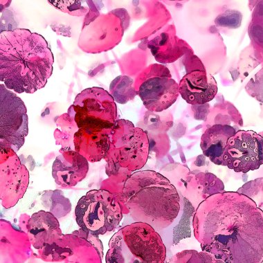 Nergisler. Yeşil bitkiler. Parlak doğal bir geçmişi, su bitkileri. Arkaplan veya duvar kağıdı için.