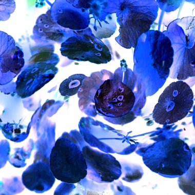 Nergisler. Yeşil bitkiler. Parlak doğal bir geçmişi, su bitkileri. Arkaplan veya duvar kağıdı için.