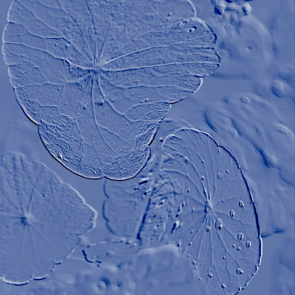 Seramik duvarın ve yerdeki fayansların dokusu. İç dekorasyon. 3 boyutlu grafikler için kusursuz doku haritası. Duvar kağıdı, tekstil, web sayfası arkaplanı.