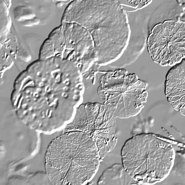 Seramik duvarın ve yerdeki fayansların dokusu. İç dekorasyon. 3 boyutlu grafikler için kusursuz doku haritası. Duvar kağıdı, tekstil, web sayfası arkaplanı.