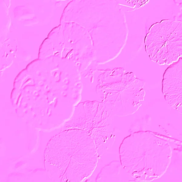 Seramik duvarın ve yerdeki fayansların dokusu. İç dekorasyon. 3 boyutlu grafikler için kusursuz doku haritası. Duvar kağıdı, tekstil, web sayfası arkaplanı.