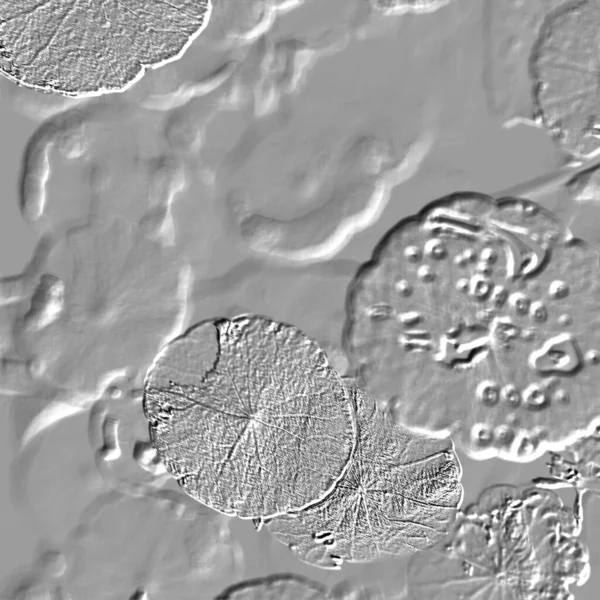 Seramik duvarın ve yerdeki fayansların dokusu. İç dekorasyon. 3 boyutlu grafikler için kusursuz doku haritası. Duvar kağıdı, tekstil, web sayfası arkaplanı.