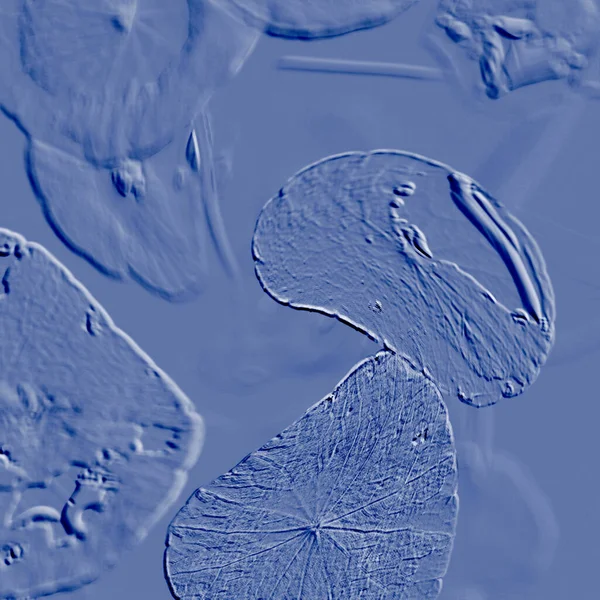 Seramik duvarın ve yerdeki fayansların dokusu. İç dekorasyon. 3 boyutlu grafikler için kusursuz doku haritası. Duvar kağıdı, tekstil, web sayfası arkaplanı.