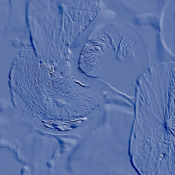 Seramik duvarın ve yerdeki fayansların dokusu. İç dekorasyon. 3 boyutlu grafikler için kusursuz doku haritası. Duvar kağıdı, tekstil, web sayfası arkaplanı.