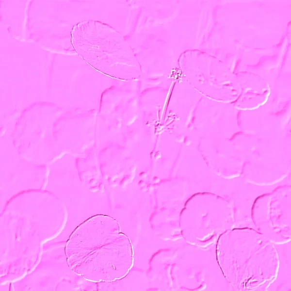 Seramik duvarın ve yerdeki fayansların dokusu. İç dekorasyon. 3 boyutlu grafikler için kusursuz doku haritası. Duvar kağıdı, tekstil, web sayfası arkaplanı.