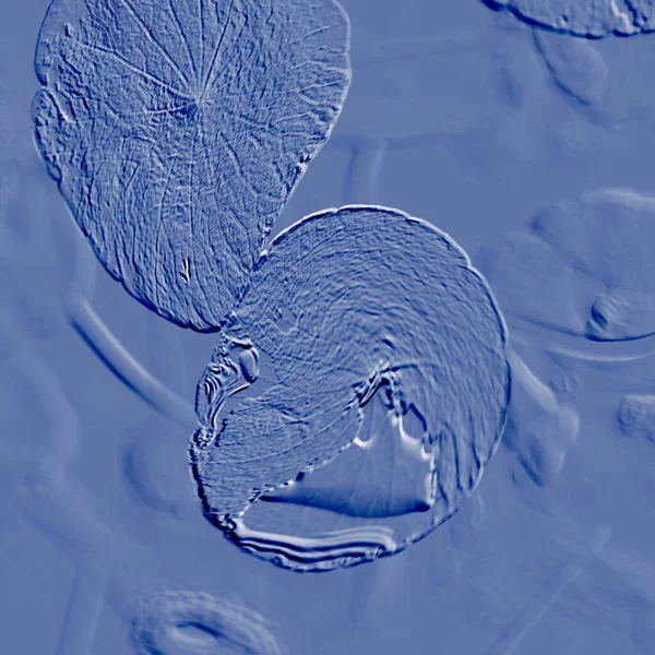 Seramik duvarın ve yerdeki fayansların dokusu. İç dekorasyon. 3 boyutlu grafikler için kusursuz doku haritası. Duvar kağıdı, tekstil, web sayfası arkaplanı.