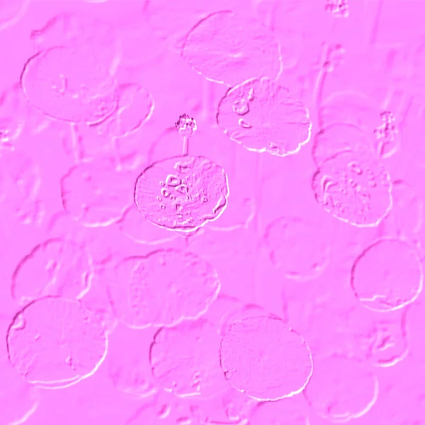 Seramik duvarın ve yerdeki fayansların dokusu. İç dekorasyon. 3 boyutlu grafikler için kusursuz doku haritası. Duvar kağıdı, tekstil, web sayfası arkaplanı.